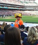  comerica park