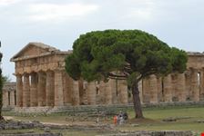 i templi