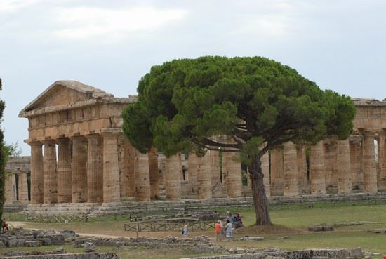  Paestum  