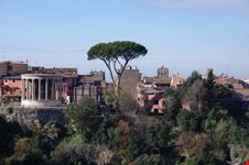 tempio di Diana