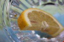  la coltivazione dei limoni