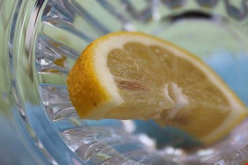 La coltivazione dei limoni  - marco_ask - marco_ask - Attribution-ShareAlike License (http://creativecommons.org/licenses/by-sa/2.0/)