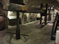 museo vino torgiano