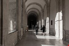  patio herreriano