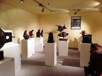 Mostra Roca Ray