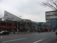 shanghai acquario