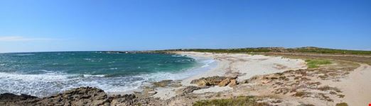 Is Arutas