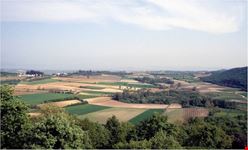 lucone di polpenazze