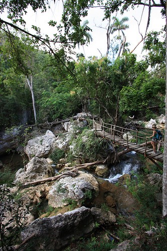  topes des colantes