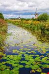 Kinderdijk