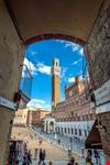 siena siena