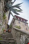 corenno plinio