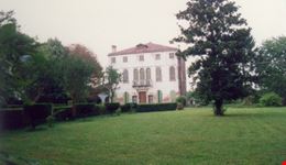 Velluti