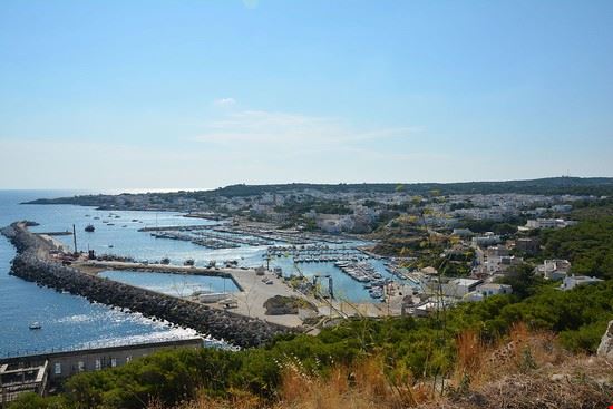  Acquarica del Capo Mentnafunangann - CC BY-SA 4.0 Mentnafunangann