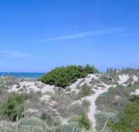 Oasi Dune di Tirrenia Oasi Dune di Tirrenia