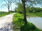Il Parco Migliarino San Rossore Massaciuccoli