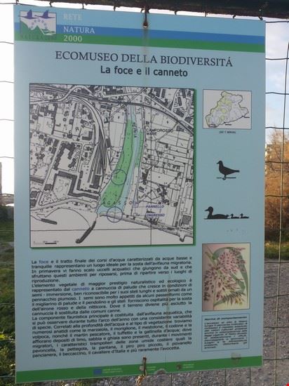  Oasi faunistica del Nervia  