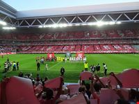 stade pierre mauroy