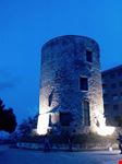 torre guevara potenza