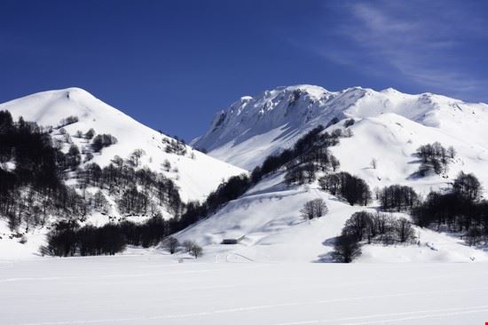  Campitello Matese Shutterstock.com - Shutterstock.com Shutterstock.com