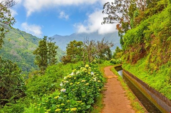 Il sentiero delle Levadas Madeira aldorado - Shutterstock.com aldorado