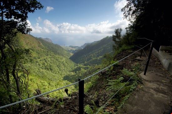  Madeira Joao Nunes de Almeida - Shutterstock.com Joao Nunes de Almeida