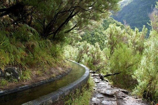 Il sentiero delle Levadas Madeira kukuruxa - Shutterstock.com kukuruxa
