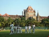 Partita di Cricket