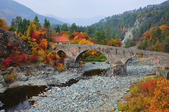 Ponte