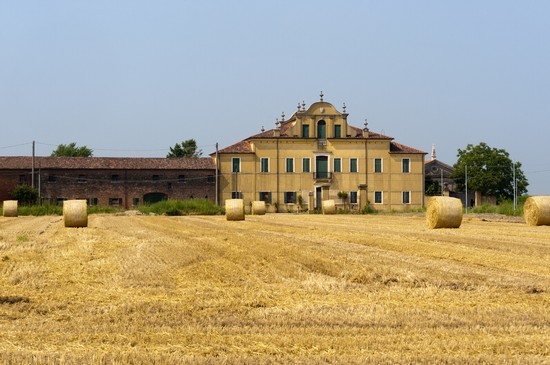 Urbana