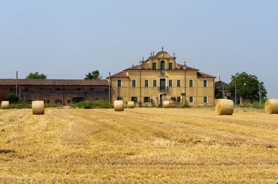 Urbana