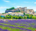 Valensole Valensole