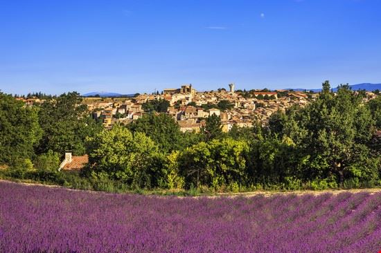  Valensole StevanZZ – Shutterstock.com 