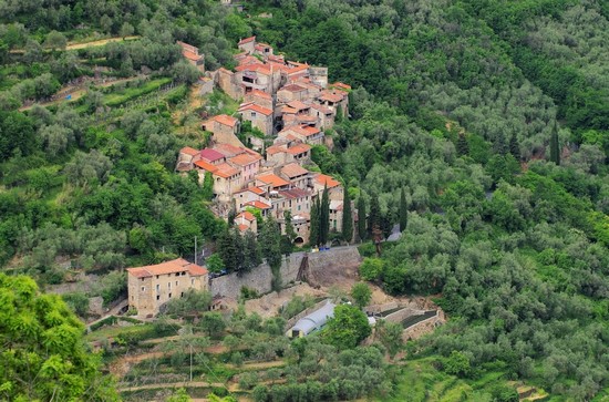 Vignolo