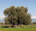 Villamassargia Villamassargia