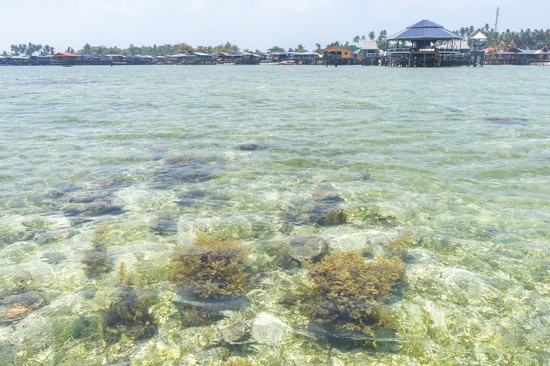Majuro