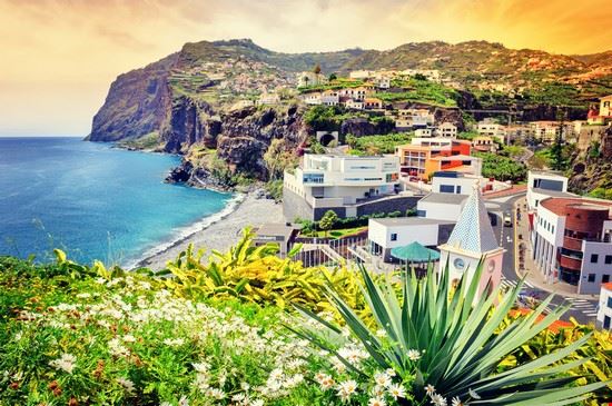  Madeira symbiot - Shutterstock.com symbiot