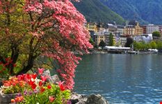 Montreux