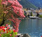 Montreux Montreux