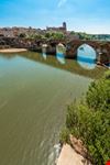 albi tolosa