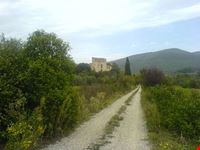 tomba mula