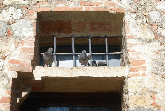 incontri