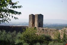 le mura (particolare)