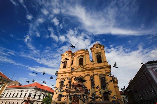  Timisoara Alex Andrei - Shutterstock.com Alex Andrei