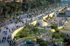 reggio calabria gli alberi secolari ed i giardini del km piu   bello d  italia