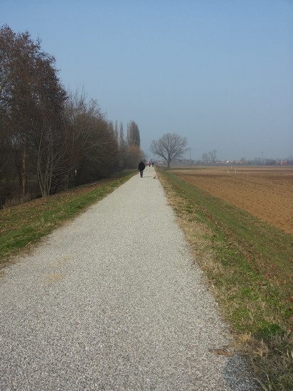 Argine ciclabile