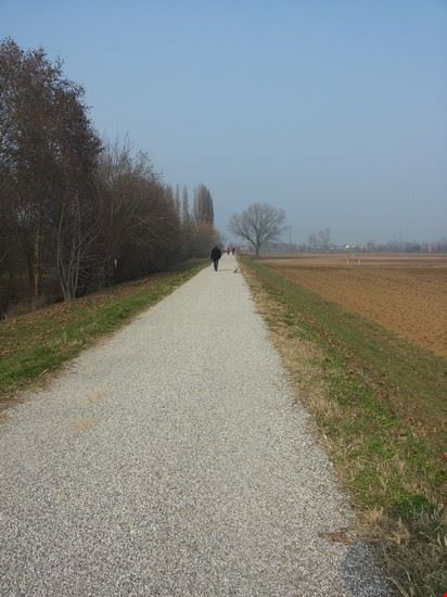 Parte del grande circuito ciclabile dell'argine del Bacchiglione  