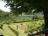 giardino delle erbe