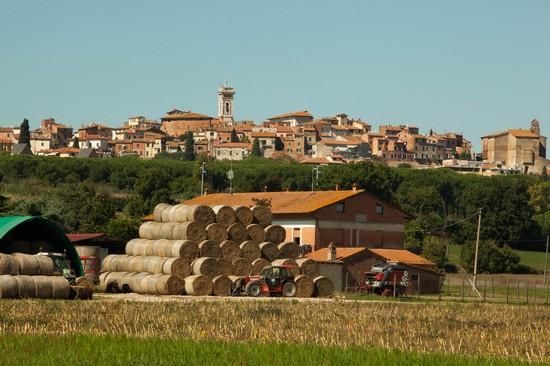 Foiano della Chiana