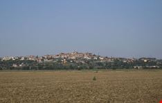 Foiano della Chiana